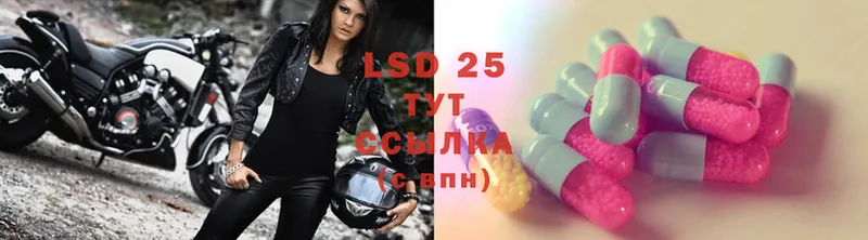 LSD-25 экстази ecstasy  гидра как зайти  Невинномысск  сколько стоит 